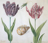 ������ķ˹�ص���Rijks����ݱ���ľ��ﻭ