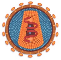 ���������ṹģʽͼ