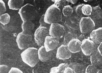 �������Ͷ���岡��ɨ���񣬣���18,300��