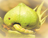 ������������