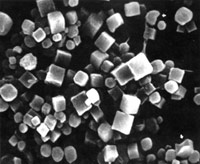 ���Ͷ���岡���Ķ����