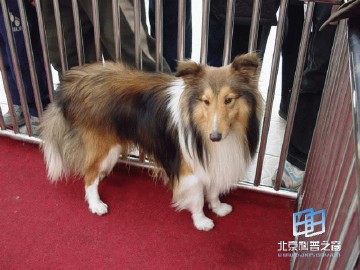 �������ͼ