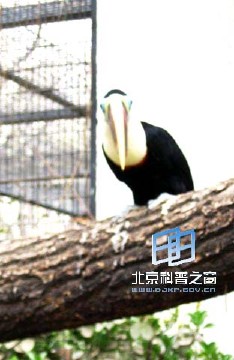 �������ͼ