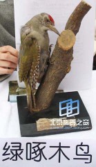 �������ͼ