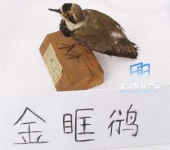 �������ͼ