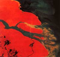 ���ǳ����ڼ������ϲ�������ǳɫ�ĵط���ǳ̲��ɳ�ޡ�