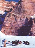 ����ѩ���Ǳ����˵���Ҫ��ͨ����