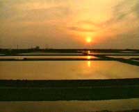 Χ������