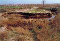 ����۹ź�����ַ