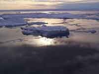 ���Ͽ�ĸ���