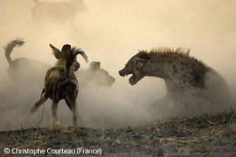 Ұ������