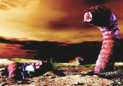 ����֮��