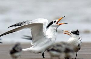 Ÿ������