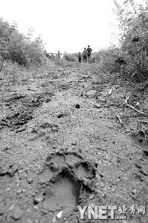 �����ϻ�