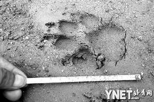 �����ϻ�