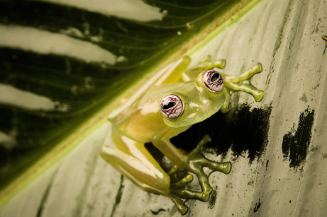 �����ܣ�����