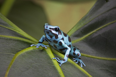 �����ܣ�����