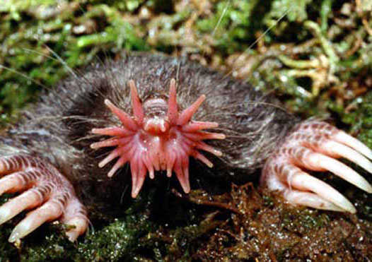 ����,������