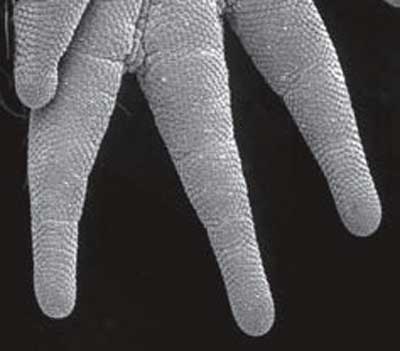 ����,������