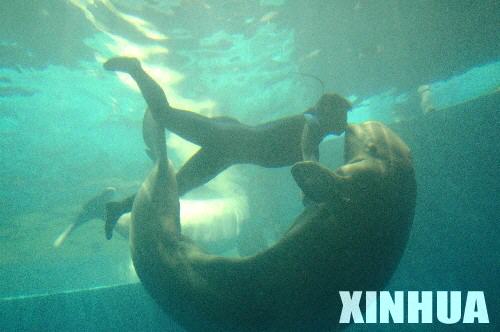 ���������ع�