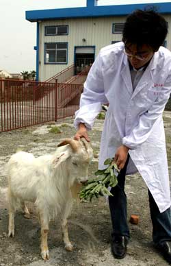 ��ϸ����ɽ��