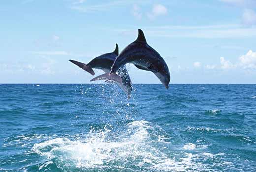 ����,����