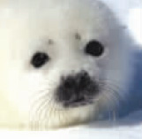 ����������������