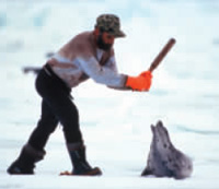 ����������������