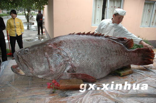 ����ʯ����