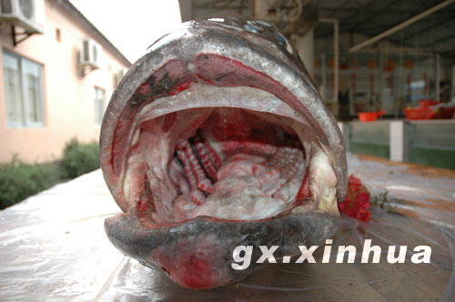 ����ʯ����