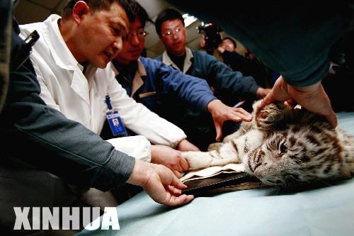 С�ϻ�������