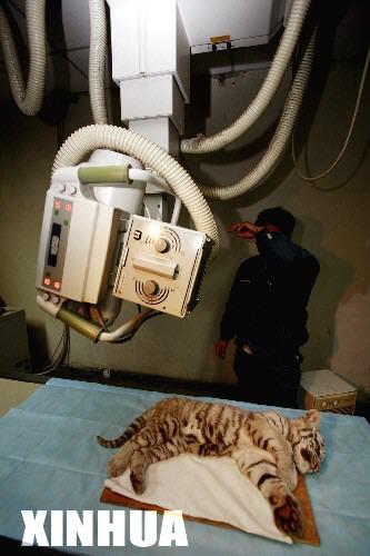 С�ϻ�������