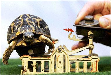 �������