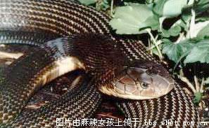 ���綯��֮���ȫ��ͼ��