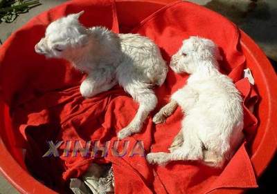 ĸ��,�������