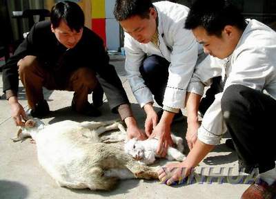 ĸ��,�������