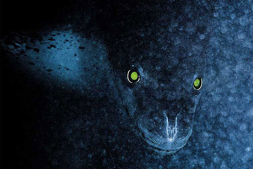 ��ˮ����