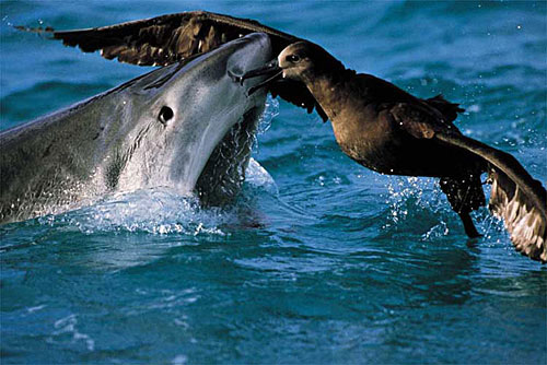 ��ˮ����