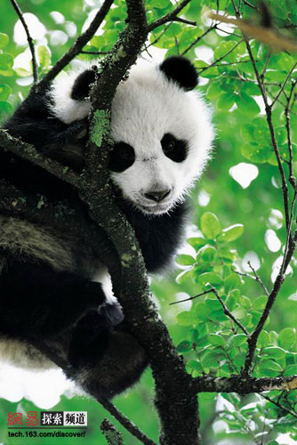 ������˽