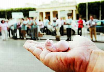 ������ʱ��