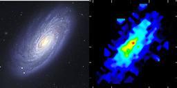 �����Լ5200����������M88��ϵ����Ϊ�粨��Զ�����µ�һ����̼�ֲ�ͼ