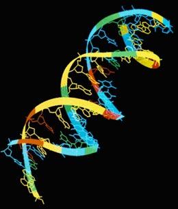 ��ѧ���״η����޹����Ի��򡰸��(ͼ)