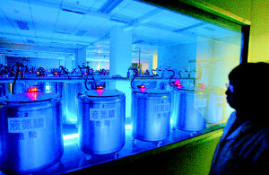 �������Ѫ�����蹫�ڿ����� (ͼ)