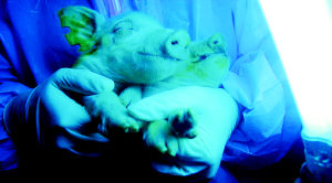 �ҹ�������ɫӫ�⵰��ת�����¡������С��