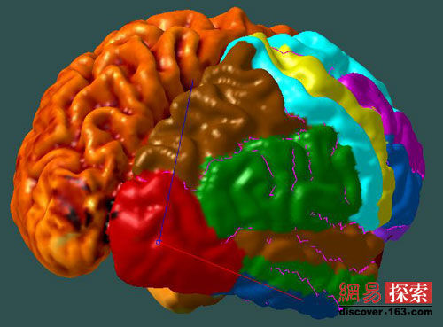 ��ѧ�ҷ��ּ�����һ�ֽ������������漼��(ͼ)