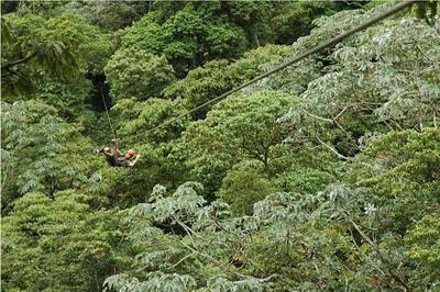 ��˹����Ӵ�����չ��̬���� (ͼ)