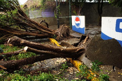 쫷硰��ꡱ��½������� (ͼ)