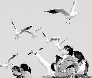 ��������������ر�Ϊ����Ÿιʳ (ͼ)