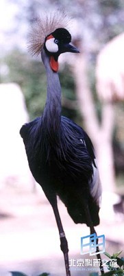 ͷ�����ʹڡ������ࡪ���������