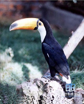 �������ش�������ࡪ�����׾�����